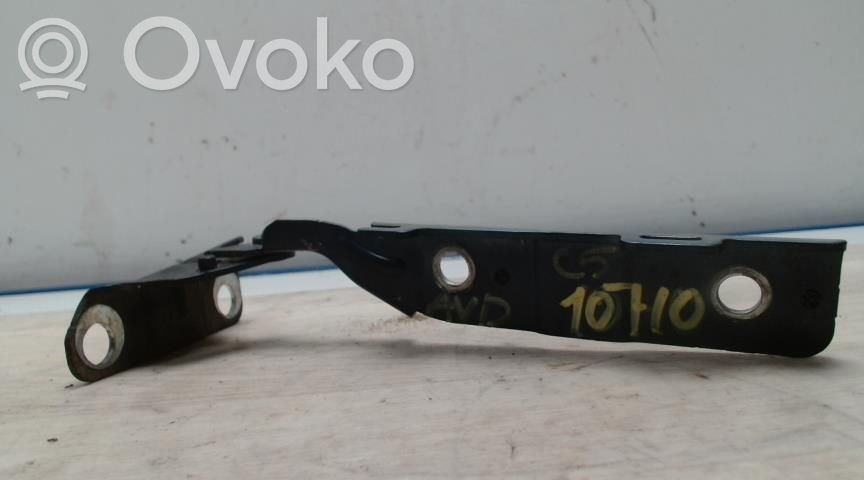 Citroen C5 Cerniere del vano motore/cofano