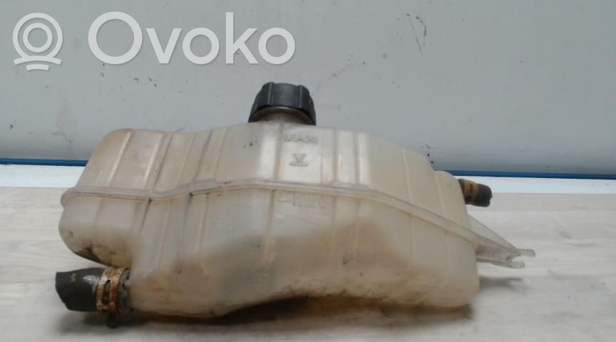Renault Clio III Serbatoio di compensazione del liquido refrigerante/vaschetta 