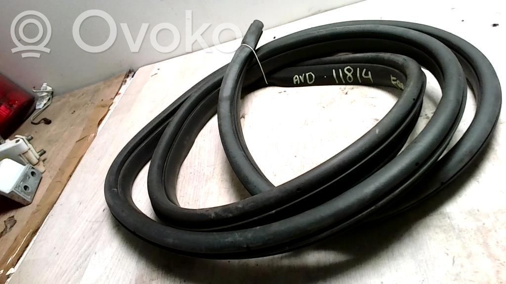 Ford Focus Gummidichtung Tür vorne 