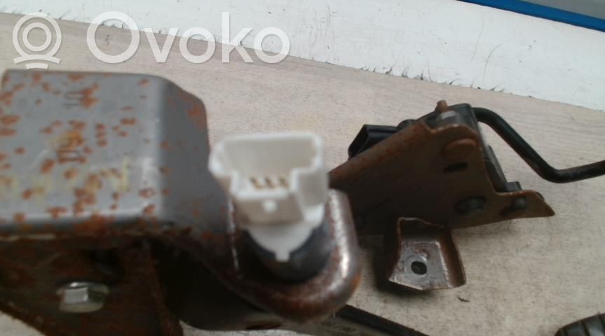 Conjunto de pedal