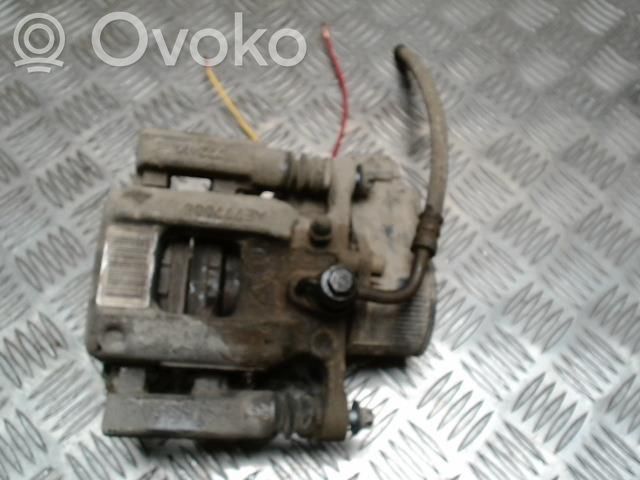 Takajarrusatula   1608998880,1608998880