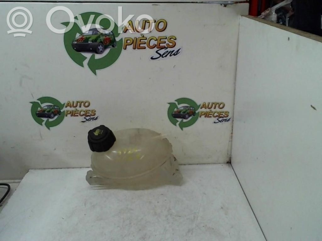 Renault Clio IV Serbatoio di compensazione del liquido refrigerante/vaschetta