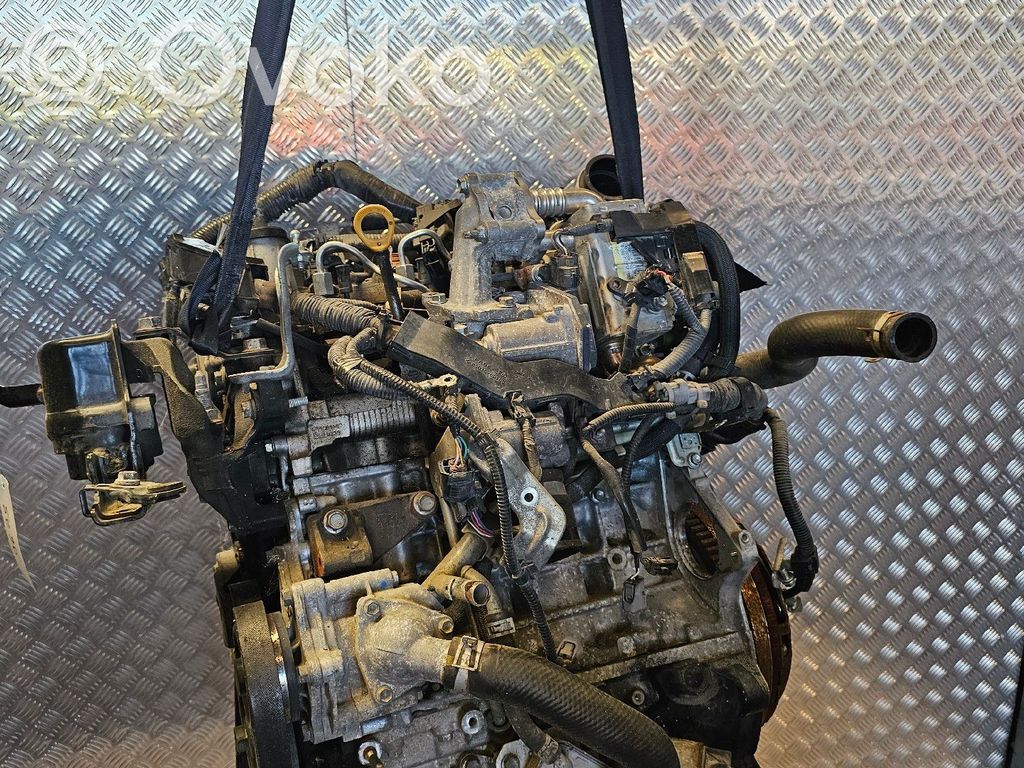 Toyota Urban Cruiser XP110 Motore