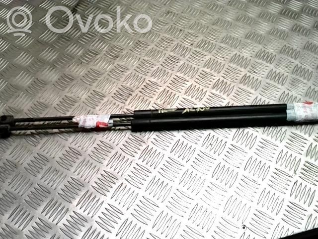 Tailgate/trunk strut/damper