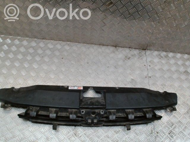 Peugeot 307 Panou suport radiator 