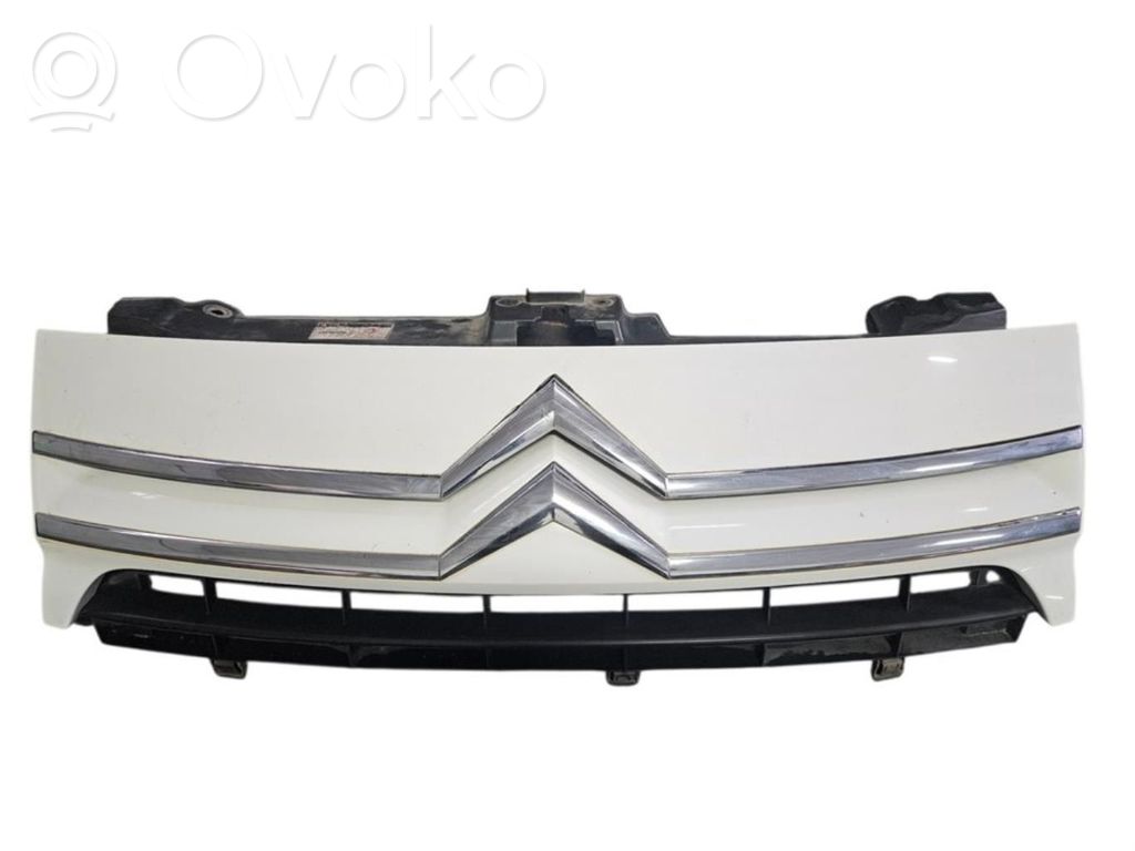 Front grill   1497651077