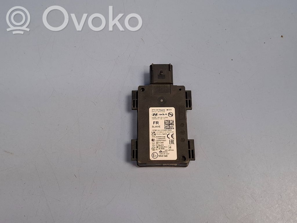 KIA EV6 Módulo de control de punto muerto 
