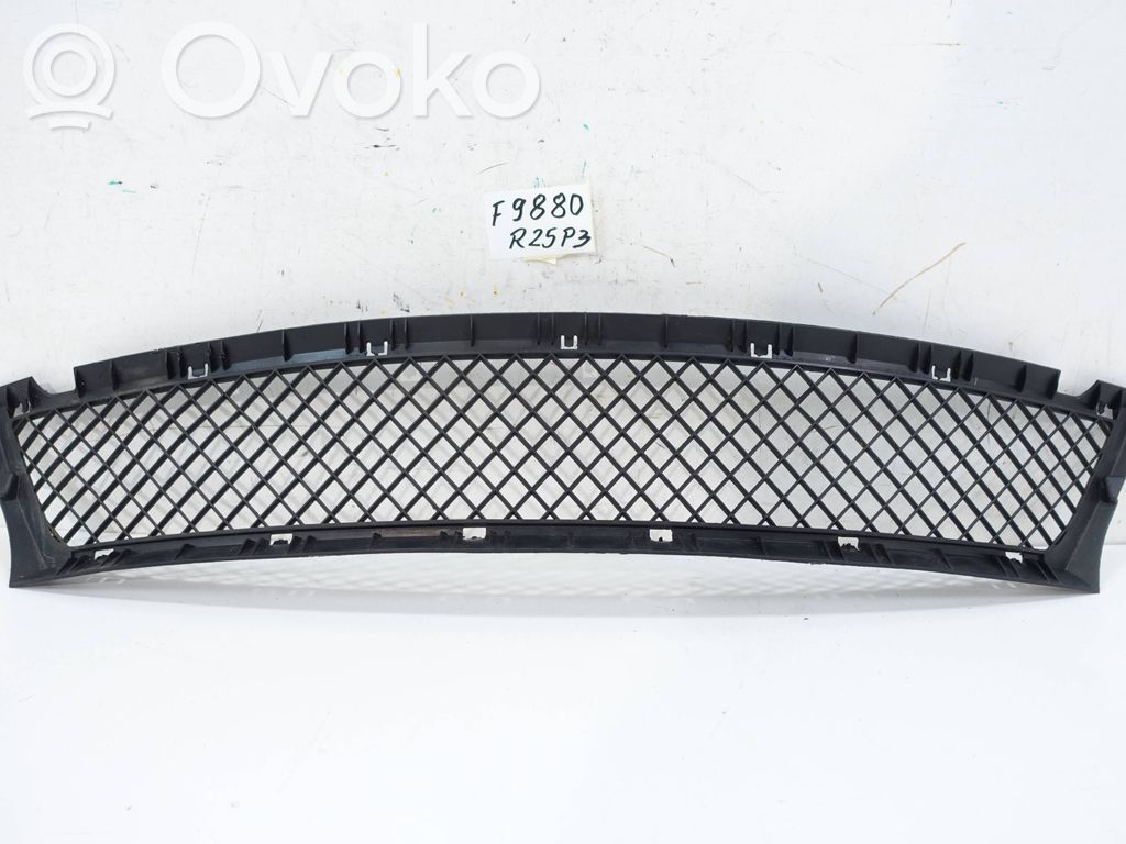 BMW 3 E46 Front bumper lower grill 