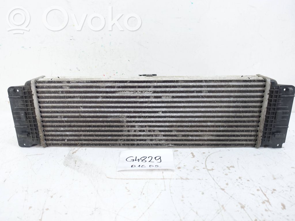Mercedes-Benz Sprinter W906 Radiator intercooler 