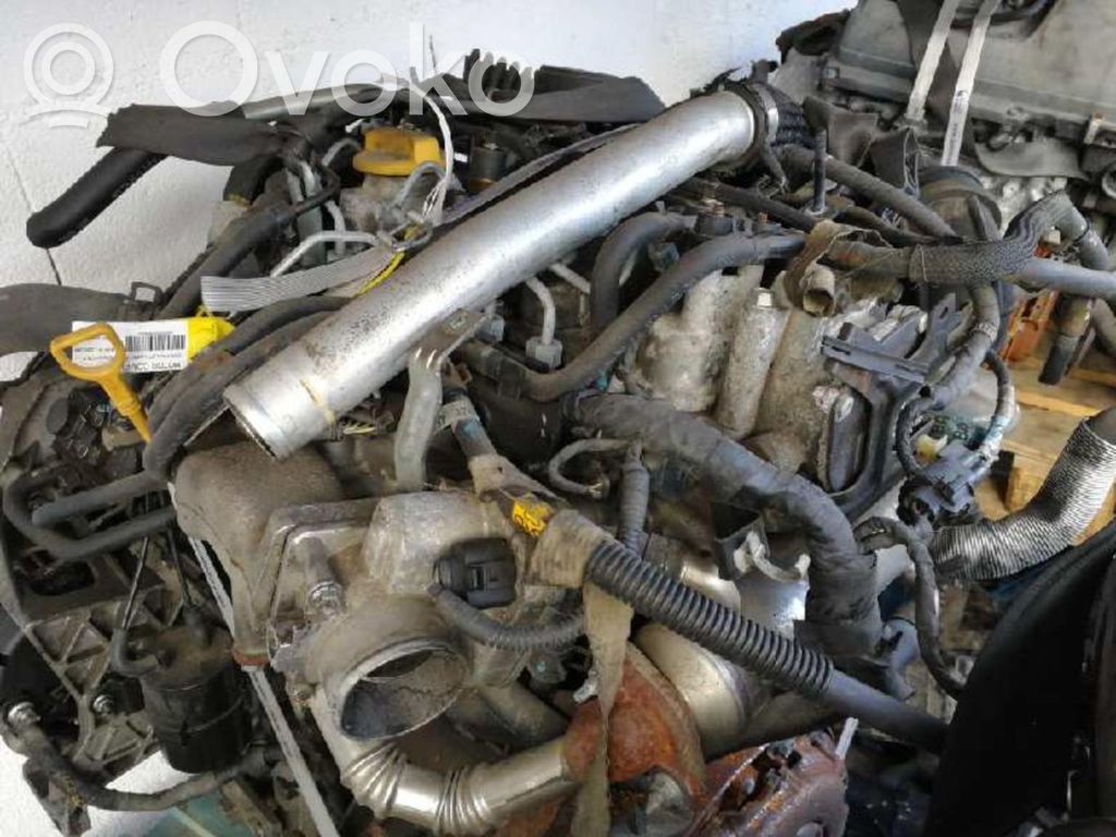 Moteur   Z20DM