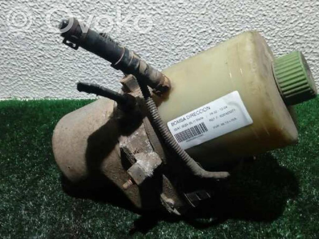 Pompa servosterzo   6Q0423371