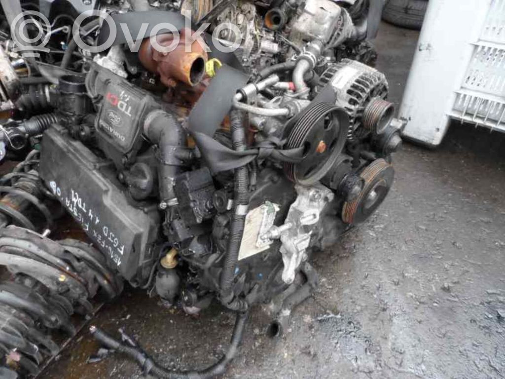 Motor   F6JD