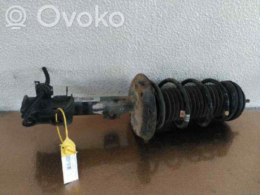 Amortiguador delantero   13343097