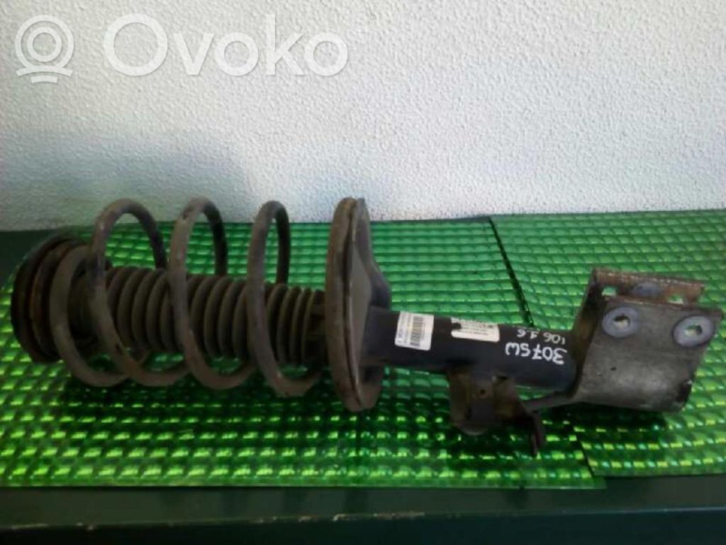 Stoßdämpfer vorne   9031