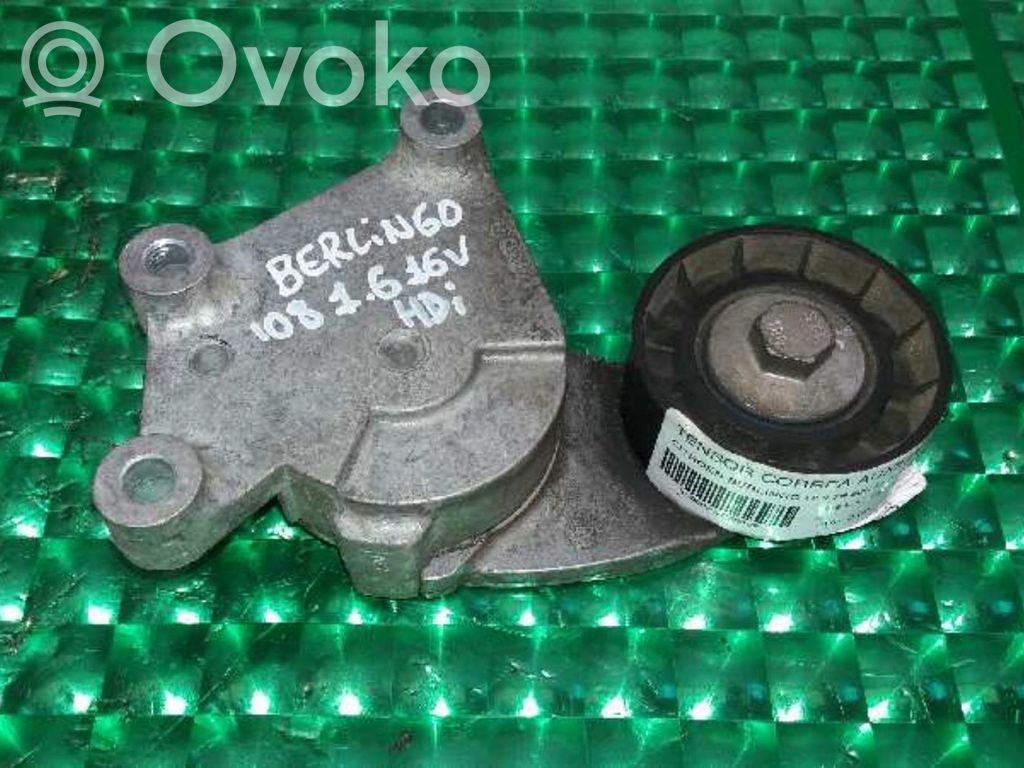 Citroen Berlingo Tendicinghia generatore/alternatore 