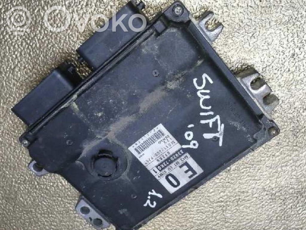 Engine control unit/module ECU   3391069L01000