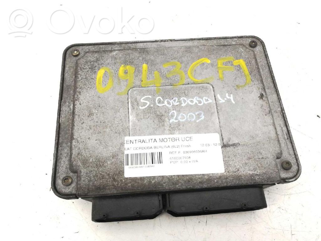 Komputer / Sterownik ECU silnika   036906034AH