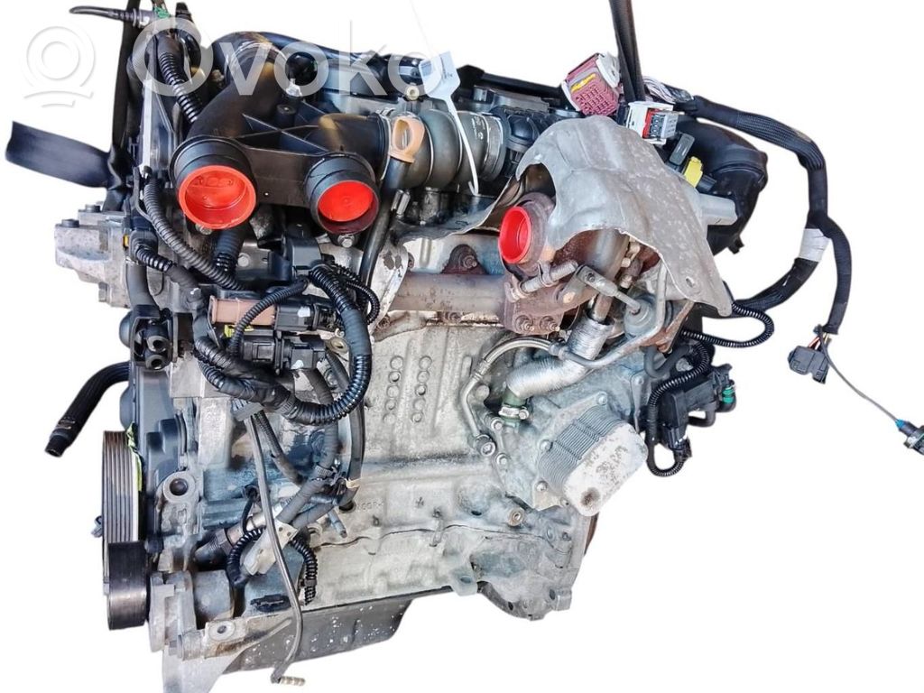 Citroen Berlingo Motor