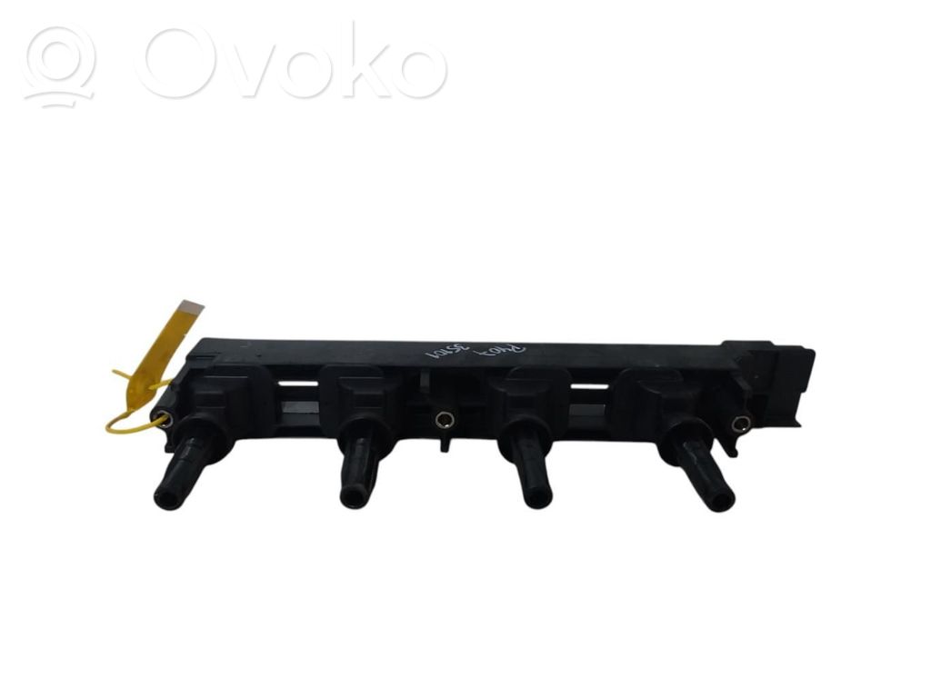 Rampa inyectora   F2019100351