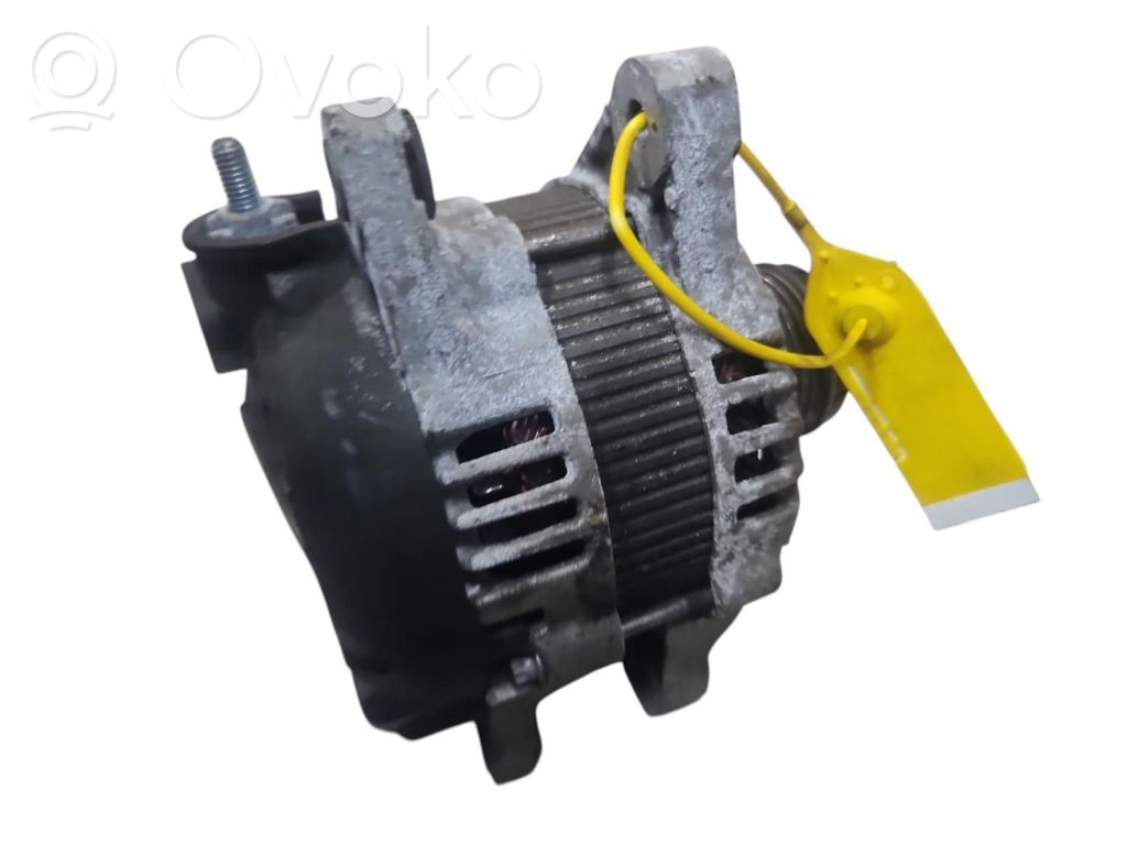 Generator/alternator   373002F300