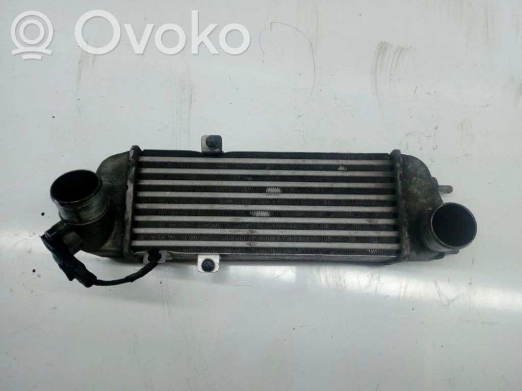 Radiador intercooler   282702A610