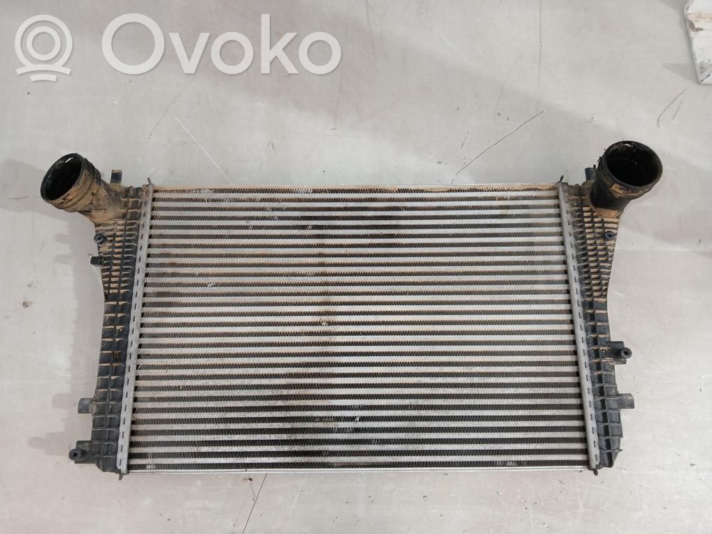 Volkswagen Jetta V Radiatore intercooler