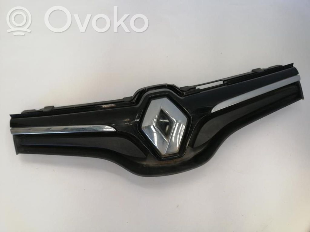 Rejilla delantera   623101381R