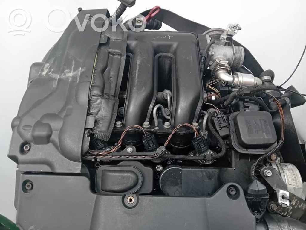 Motore   204D4