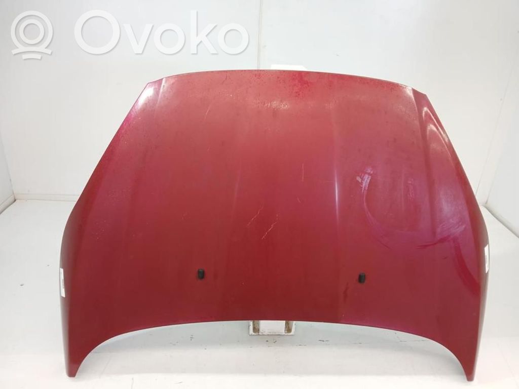 Vano motore/cofano   2002312