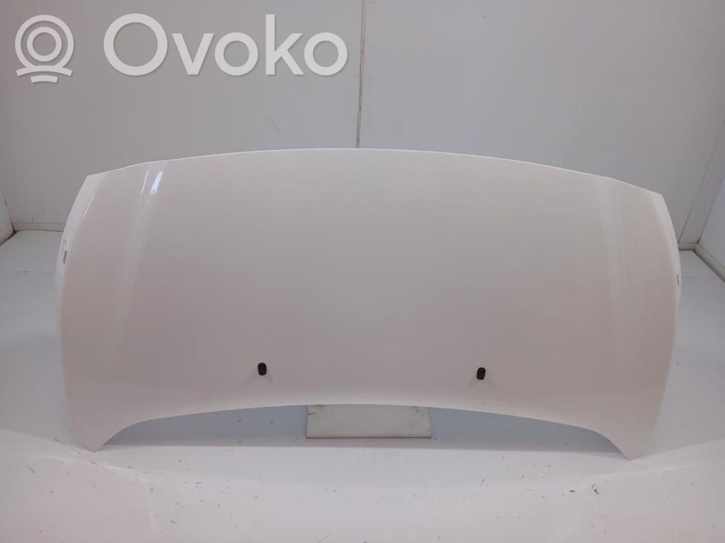 Dzinēja pārsegs (vāks)   2407980