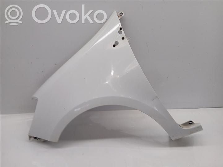 Renault Clio III Lokasuoja 