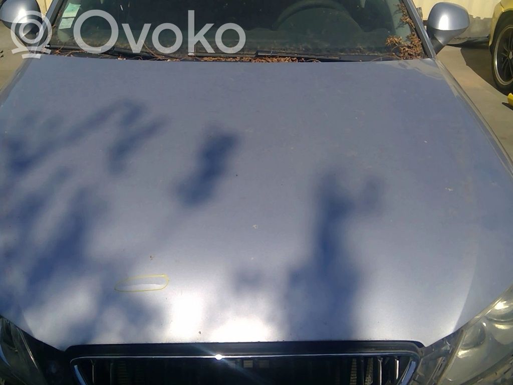 Seat Exeo (3R) Konepelti 