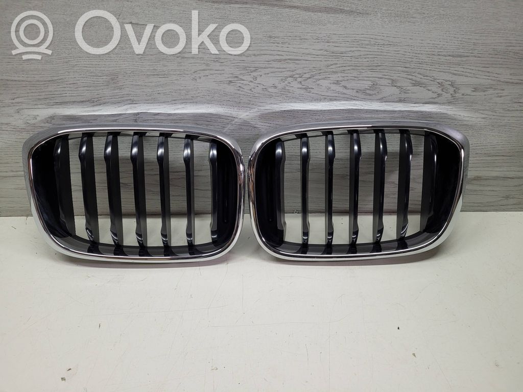 BMW X3 G01 Front grill 