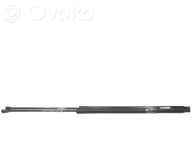 Renault Kangoo II Tailgate/trunk strut/damper 