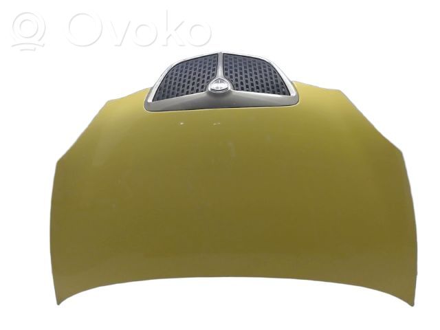 Lancia Ypsilon Engine bonnet/hood 