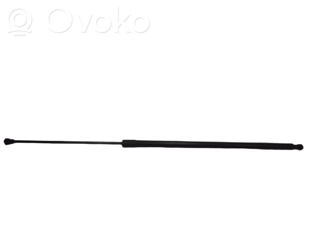 Renault Kangoo II Tailgate/trunk strut/damper 