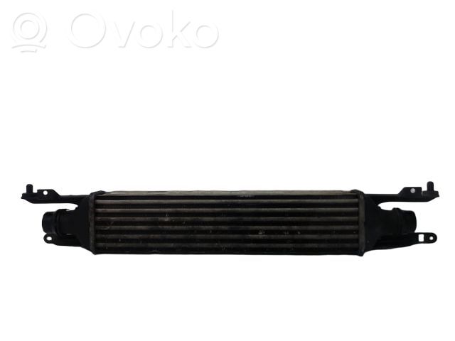 Ford Ka Interkūlerio radiatorius 