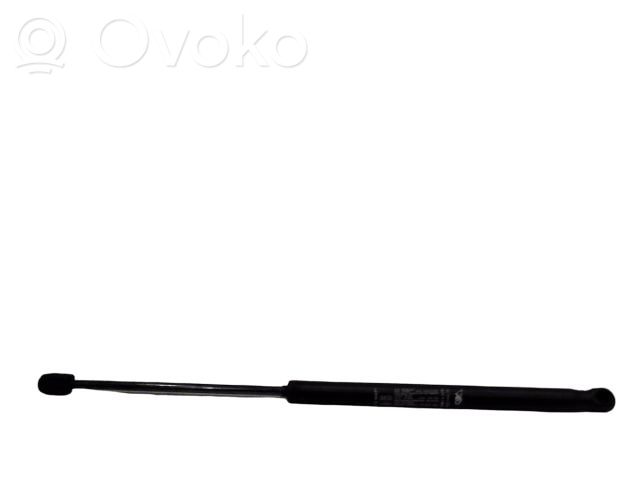 Fiat Punto (188) Amortizor hayon 