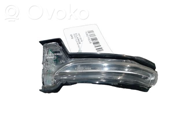 Ford Focus Spiegelblinker 