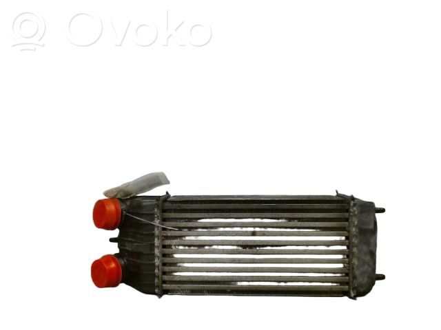 Peugeot 207 Intercooler radiator 