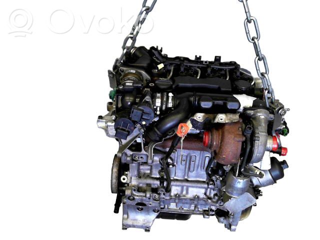 Engine   0135QE,0135QE,9HZ