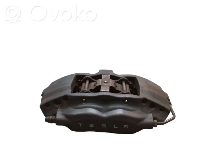 Takajarrusatula   107854101B,107854101B