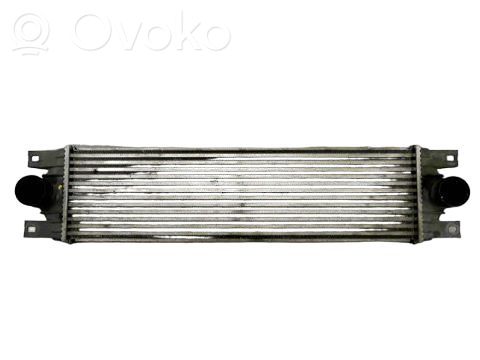 Intercooler radiator   817115,867658F