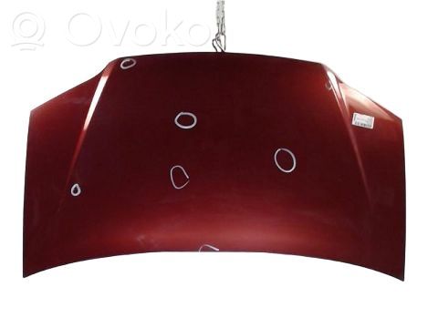 Fiat Idea Motorhaube 