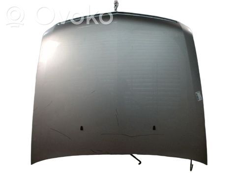 Motorhaube
