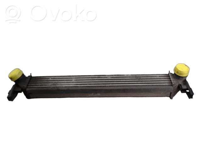 Volkswagen Polo V 6R Interkūlerio radiatorius 