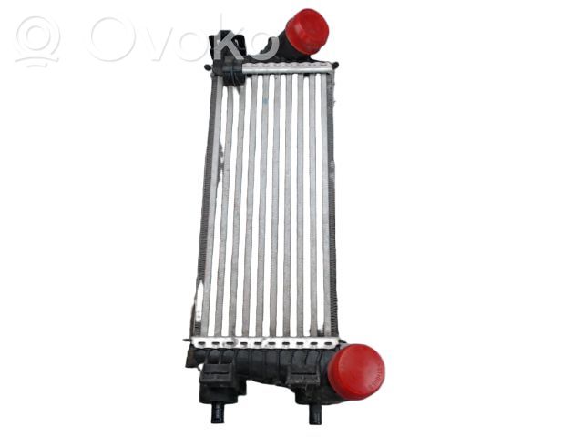 Intercooler radiator   2026747,2026747,818667,CV619L440VC