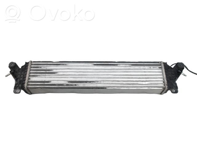 Interkūlerio radiatorius   SHBH13565,SHBH13565