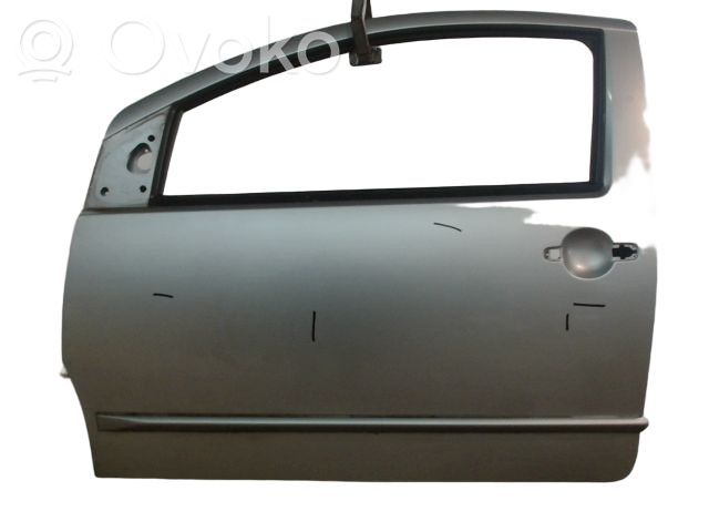 Priekinės durys   9002T1,9002T1