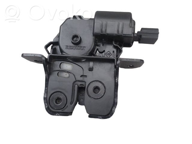 Loading door lock   905039428R,905039428R